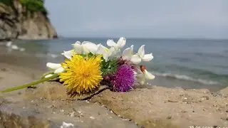 Пляж на Астафьева, г.Находка