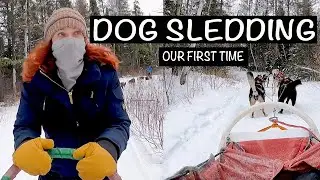 FIRST TIME DOG SLEDDING ~ Minnesota's Best Winter Experience