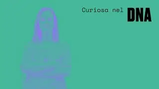 Curiosa nel DNA