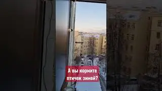 Первый день весны. 