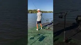 Секрет! Как поймать чёрного Амура !?!? 🤫