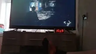 о ласт оф ас