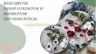 Мои цветы 🌸 ОБЗОР новинок. Про КУРСЫ. #скрапбукинг