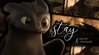stay | hiccup & toothless