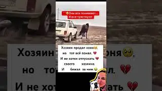 НЕ ПРЕДАВАЙТЕ ИХ😭💔 