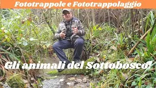 Come usare la fototrappola  Gli animali del sottobosco  Parte Prima
