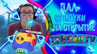 Дал сундуки на открытие Zebrail TV.