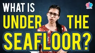 What is under the seafloor? | Mind Blowing facts about Ocean !