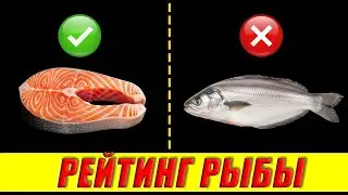 FISH: The Most Harmful and Beneficial (Rating)