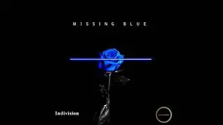 Indivision - Missing Blue
