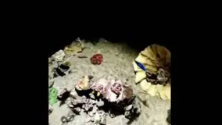 VID 20170817 131347