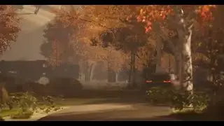 Dailies 7-29-2024