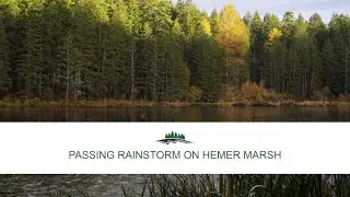 Passing Rainstorm at Hemer Marsh