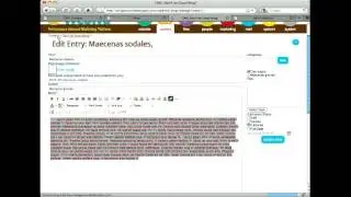 Webiva CMS Content Tab