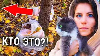 Кошка на прогулке в лесу, играем в прятки с кошкой, расследуем историю с мешками ВЛОГ