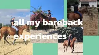 all my bareback experiences 🤍🤍🤍🐴🐴🐎🐎🤍🤍