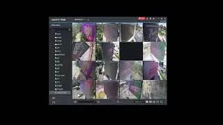 amedia отчеты