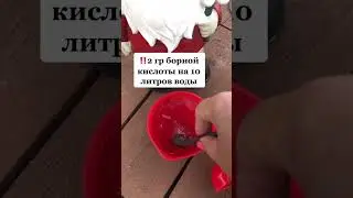 Борная кислота увеличит завязи