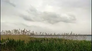 Гомер  Одиссея  Песнь первая  
