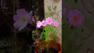 Всем мирного неба над головой. С Днём Победы!