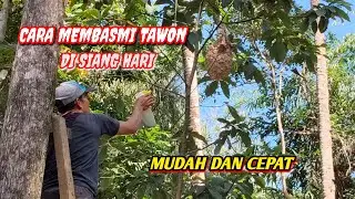 INILAH TAWON VESPA 🛵🛵 ANALIS //SEKALI SEMPROT TAWON LANGSUNG M4T!