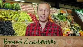Ели у Емели
