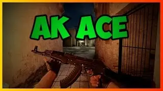Sleizer | AK 47 Ace