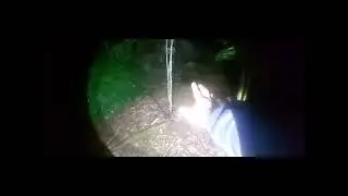 🌕 MENGUAK MISTERI LELUHUR PEMAKAMAN LUMUT SIMBAH SOEROLOYO BANYUBIRU#youtuber#youtube