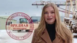 Вредная экономия при строительстве дома из клееного бруса или оцилиндрованного бревна