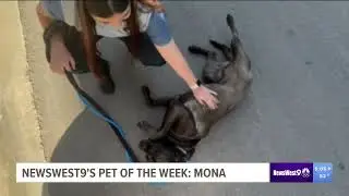 Pet of the Week: Mona