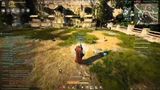 Black Desert Лучница VS Воин