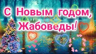 ❤️Новогодние поздравления от Жабоведов и Болота❤️