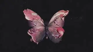 Before You Exit - Silence (Official Audio)