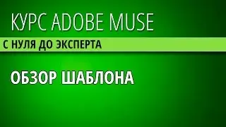 34 Обзор шаблона для работы в Adobe Muse CC