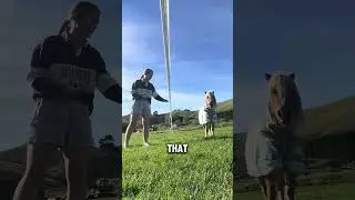 This girl tricked her cute pony horse ❤️ 