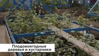 Прямой эфир. Первый городской канал в Кирове. 26.09.2023