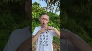Лучший петличный микрофон 