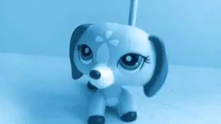 LPS MV: 