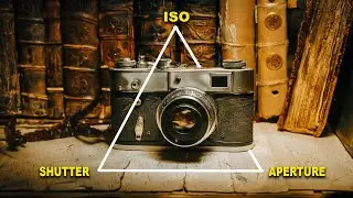 Camera BASICS for Beginners!