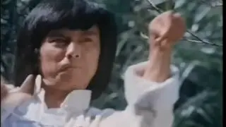 LES MONSTRES DU KUNG FU