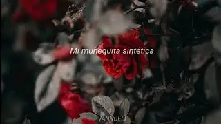 [El Haragan] - Muñequita Sintética // Letra //
