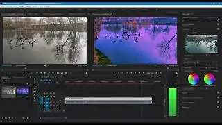 Adobe Premiere Pro 2