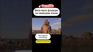 Deutschland Мадагаскар