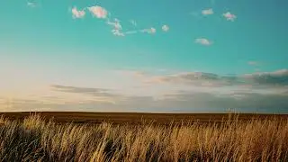 C418 - Dreiton slowed down + reverb