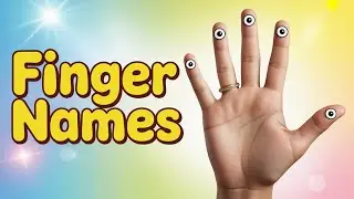 Finger Names Song for Kids 👋 | Thumb Index Middle Ring Little