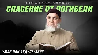 ✨ ЧТО МОЖЕТ ПРИВЕСТИ К СПАСЕНИЮ? ✨ | Очищение сердец | Умар ибн Абдуль-Азиз