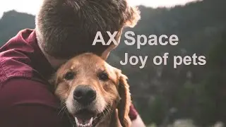 Joy Of Pets