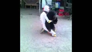 Misterio ranger vs chango de mal
