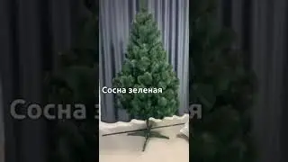 сосна зеленая 1,80