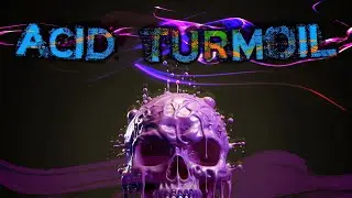 Zoftle x DaRoost3R - Acid Turmoil